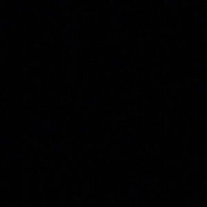 Meet your Posher, Shantrice